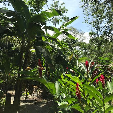 Little Yemanja Bungalow Puerto Viejo de Talamanca Kültér fotó