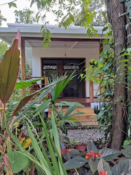 Little Yemanja Bungalow Puerto Viejo de Talamanca Kültér fotó